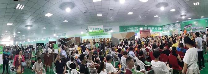 兔寶寶環保行7月29日蘇州站 綠色裝飾，感恩回饋